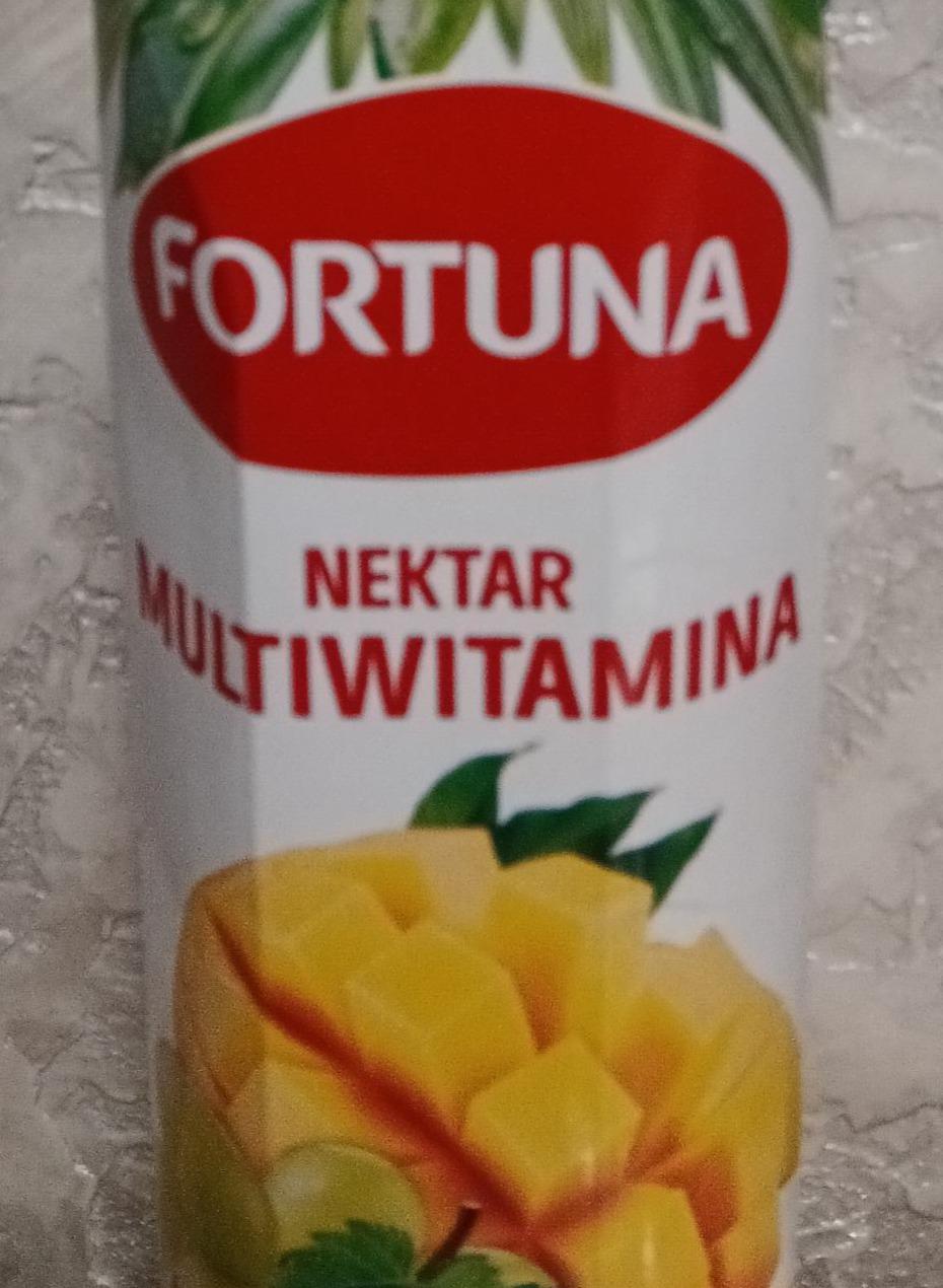 Zdjęcia - Fortuna Nektar multiwitamina1 l