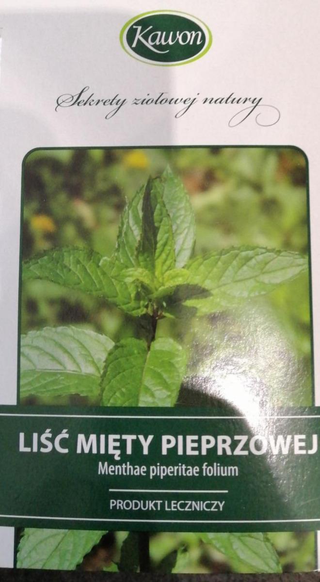 Zdjęcia - Liść mięty pieprzowej Kawon