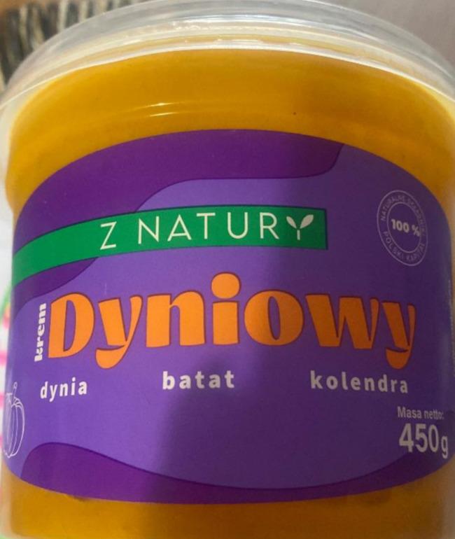 Zdjęcia - krem dyniowy z Natury