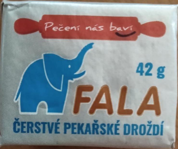 Zdjęcia - Drożdże Fala