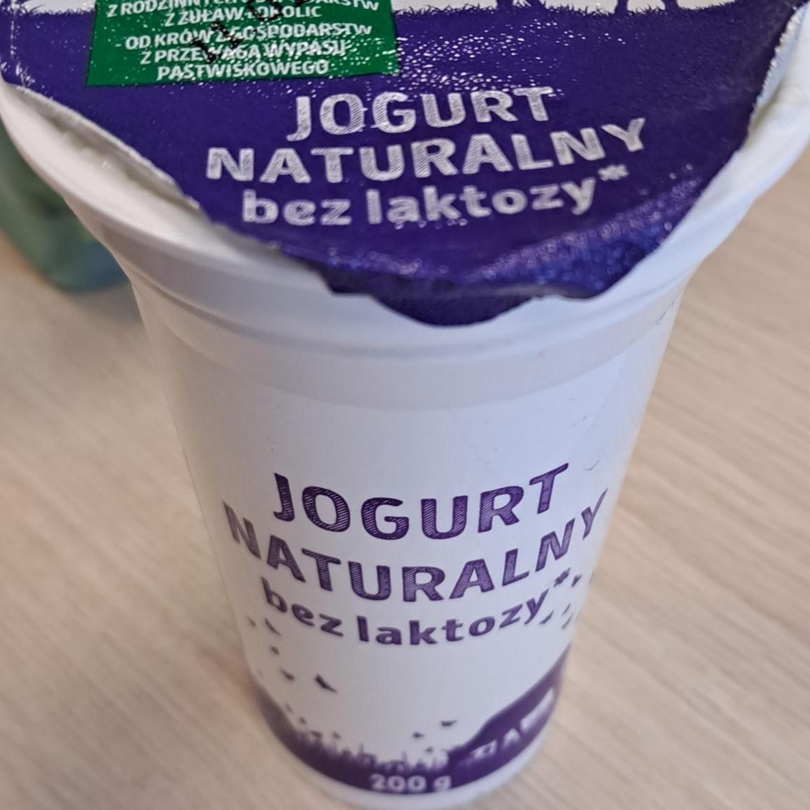 Zdjęcia - Jogurt naturalny bez laktozy Pewni dobrego