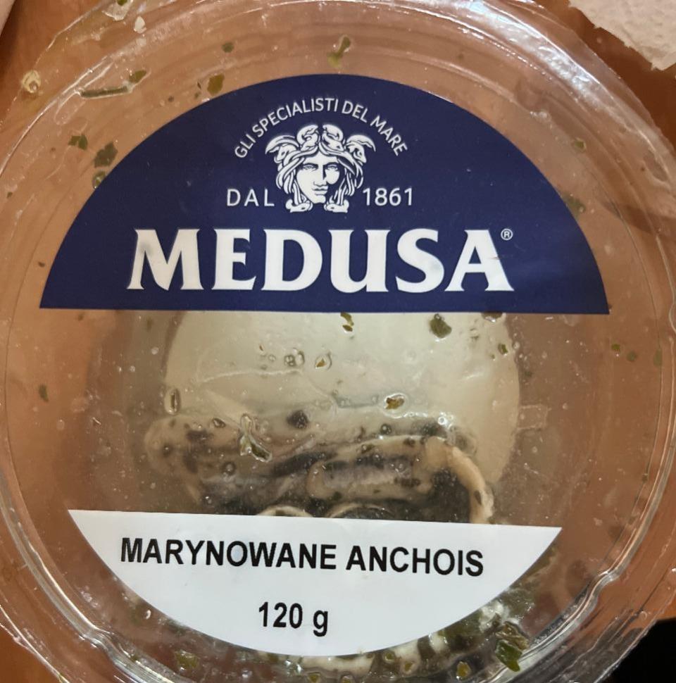 Zdjęcia - Marynowane anchois Medusa