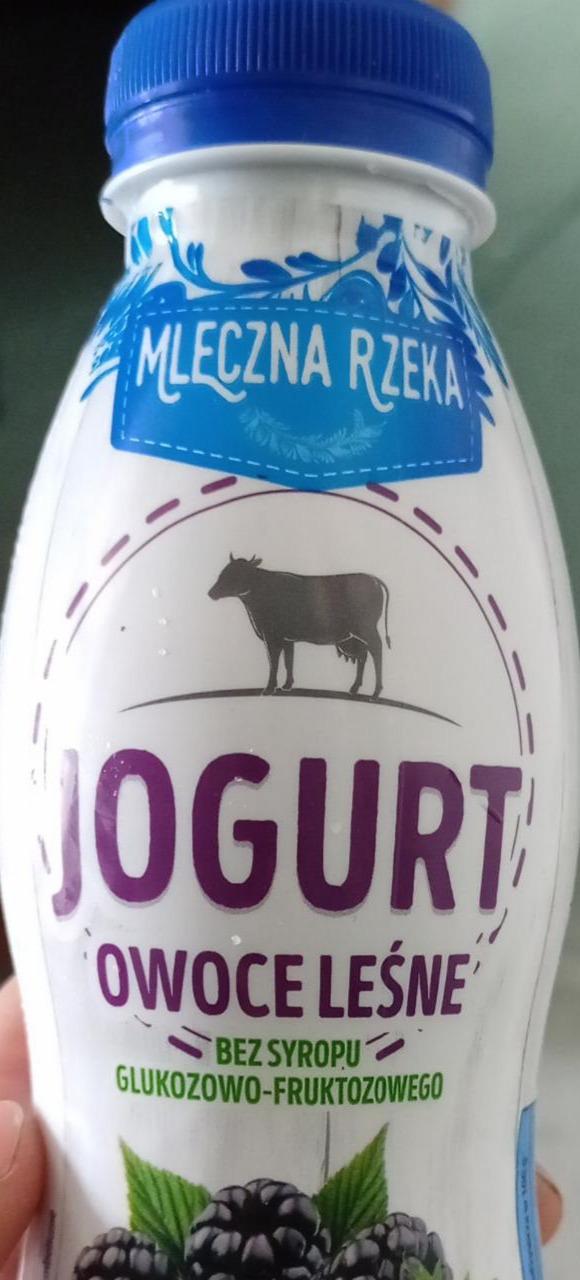 Zdjęcia - jogurt owoce leśne Mleczna rzeka