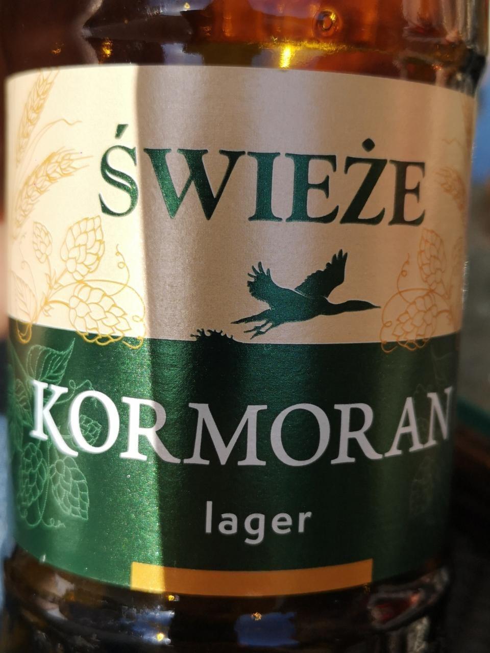 Zdjęcia - Świeże Kormoran lager