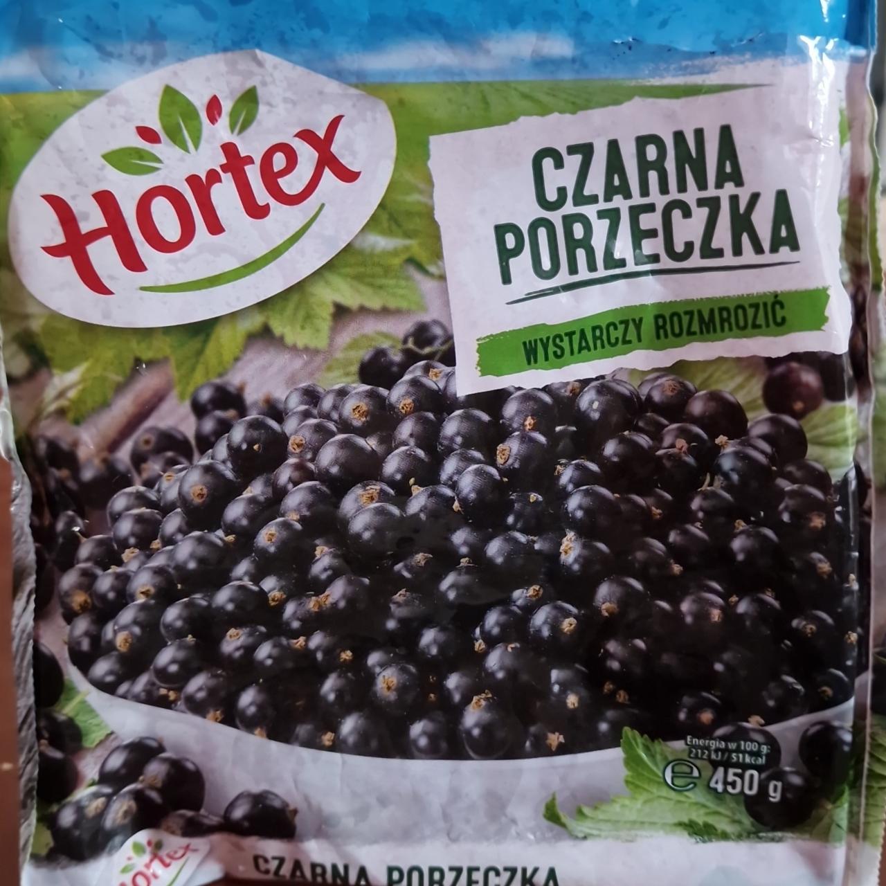 Zdjęcia - Czarna porzeczka Hortex