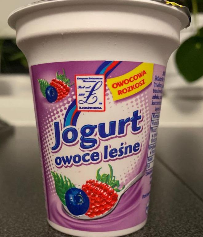 Zdjęcia - Jogurt owoce leśne OSM Łobżenica
