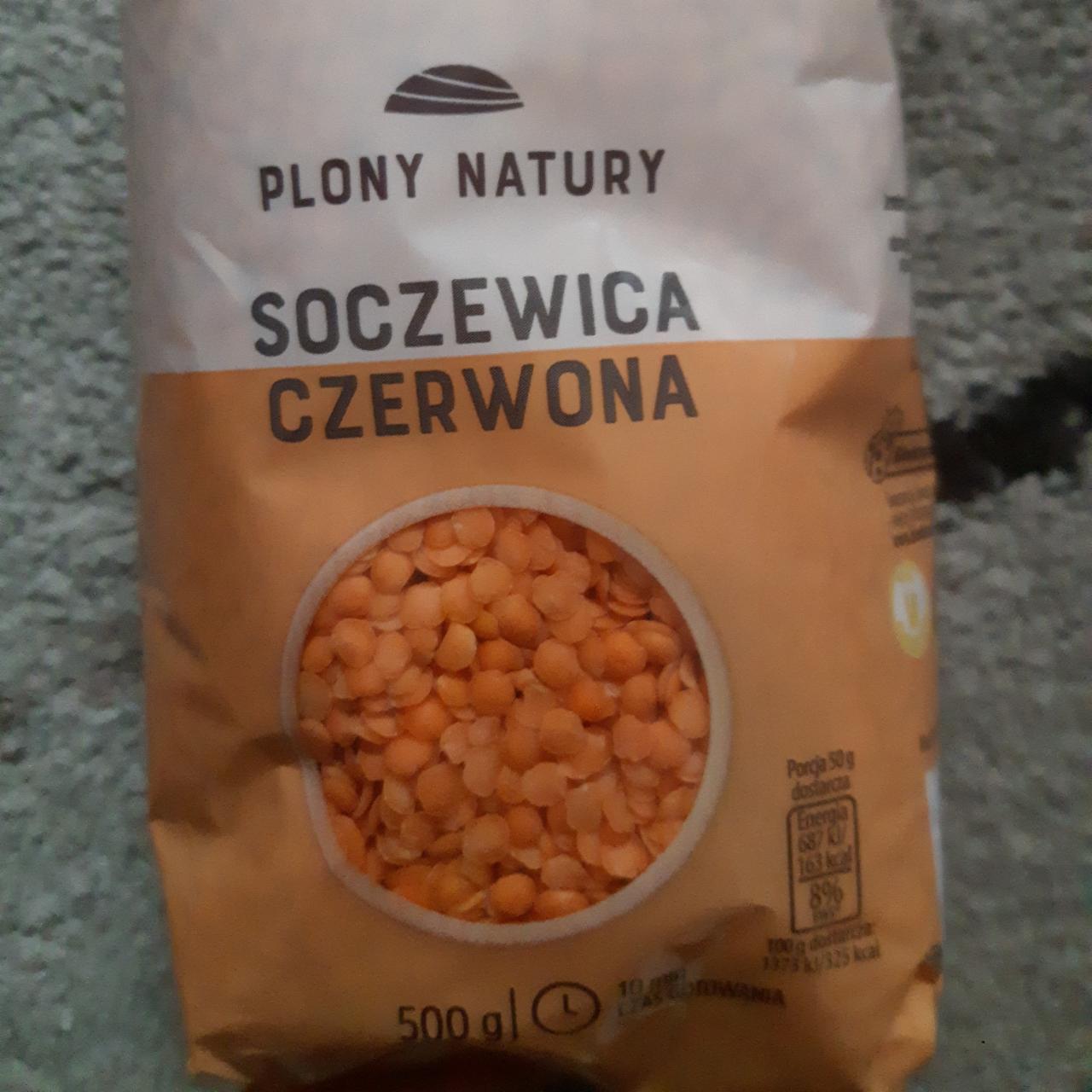 Zdjęcia - soczewica czerwona plony natury