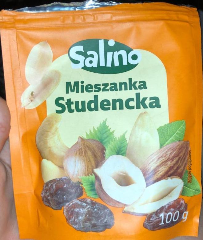 Zdjęcia - Mieszanka Studencka Salino