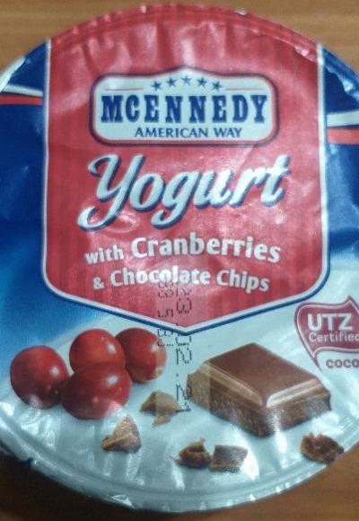 Zdjęcia - Yogurt with Cranberries & Chocolate chips McEnnedy American Way