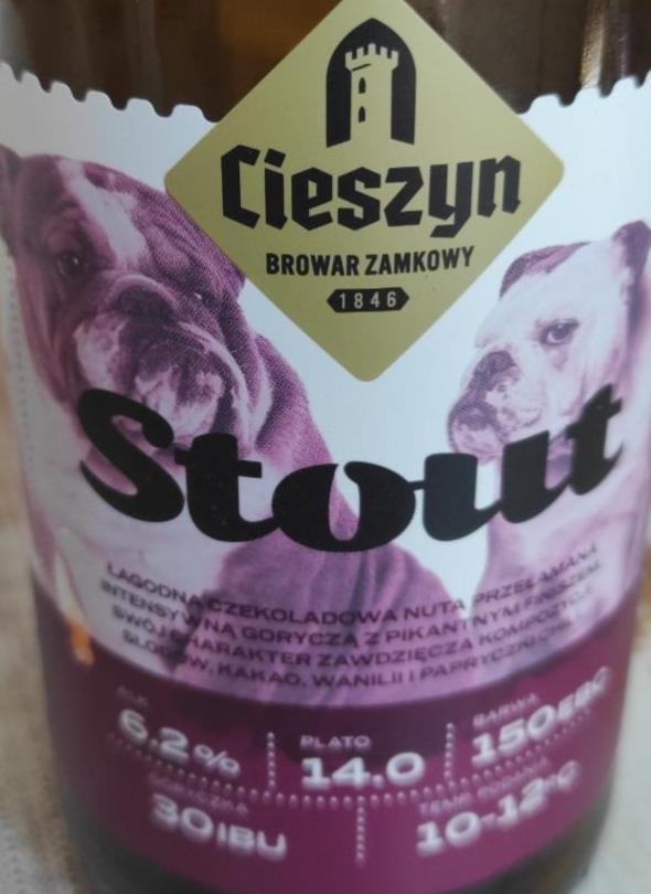 Zdjęcia - Cieszyn Stout