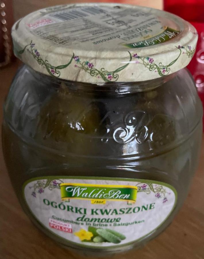 Zdjęcia - Ogórki Kwaszone domowe WaldiBen