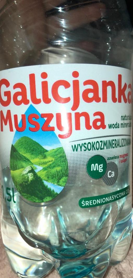 Zdjęcia - Galicjanka Muszyna naturalna woda mineralna wysokozmineralizowana