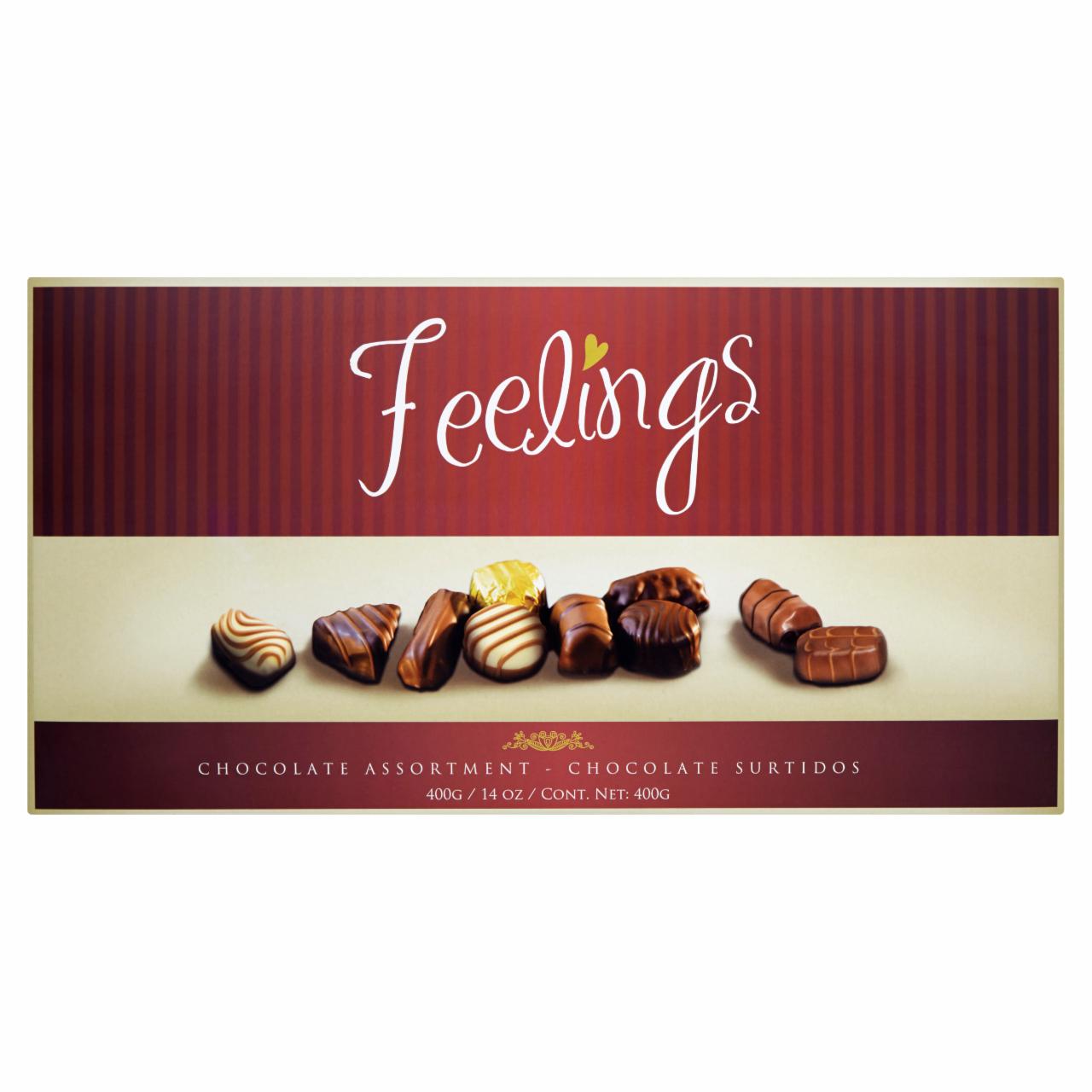 Zdjęcia - Feelings Mieszanka czekoladowa 400 g