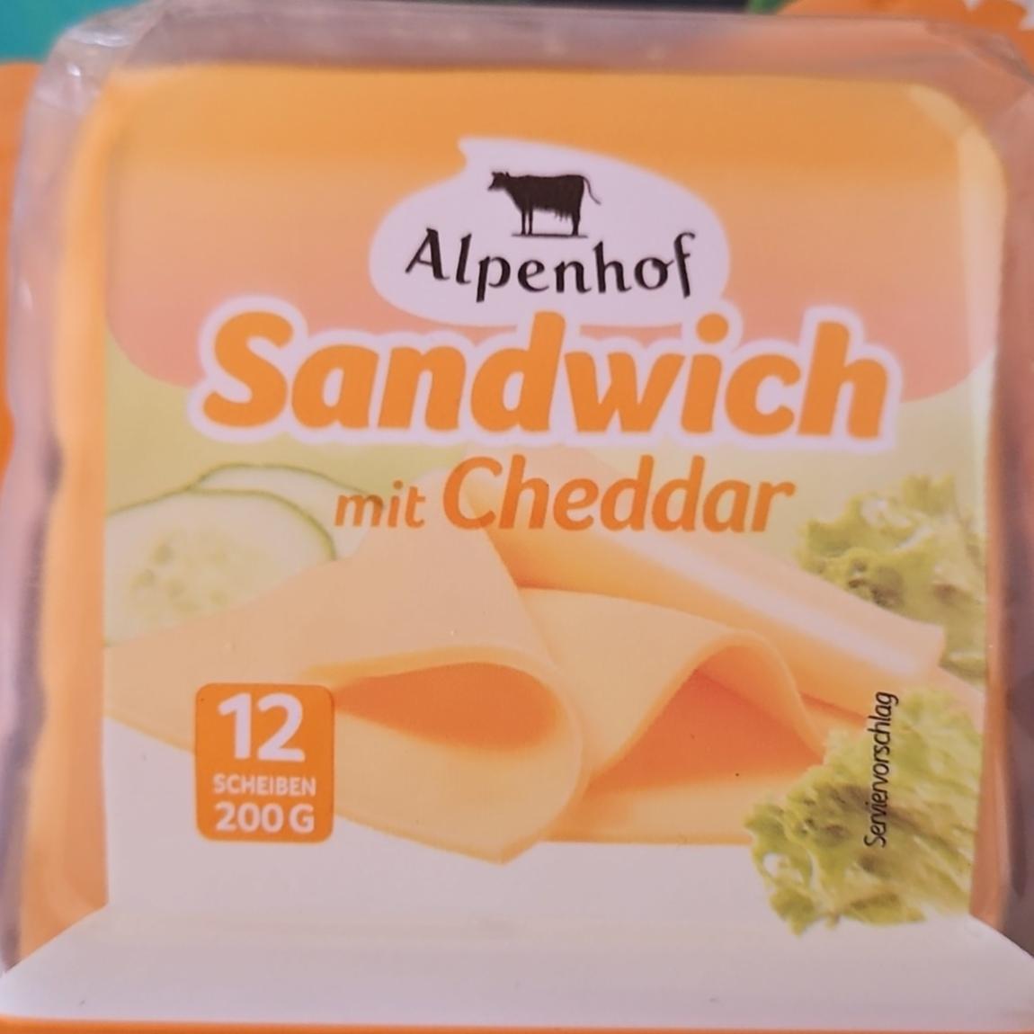 Zdjęcia - Sandwich mit Cheddar Alpenhof