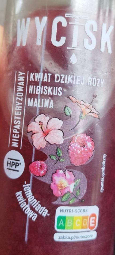 Zdjęcia - Kwiat dzikiej rózy biskus malina Wycisk