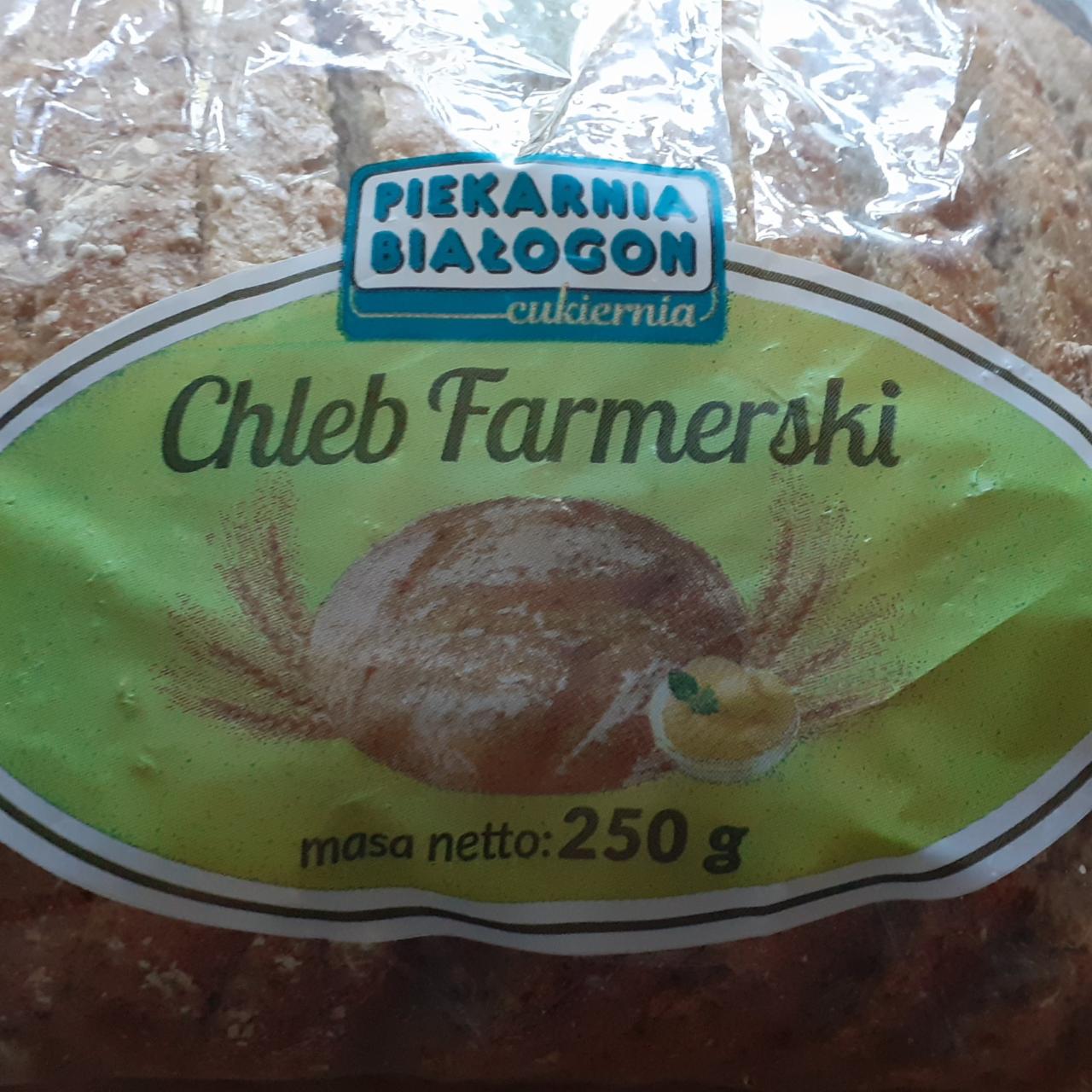 Zdjęcia - Chleb farmerski piekarnia Białogon