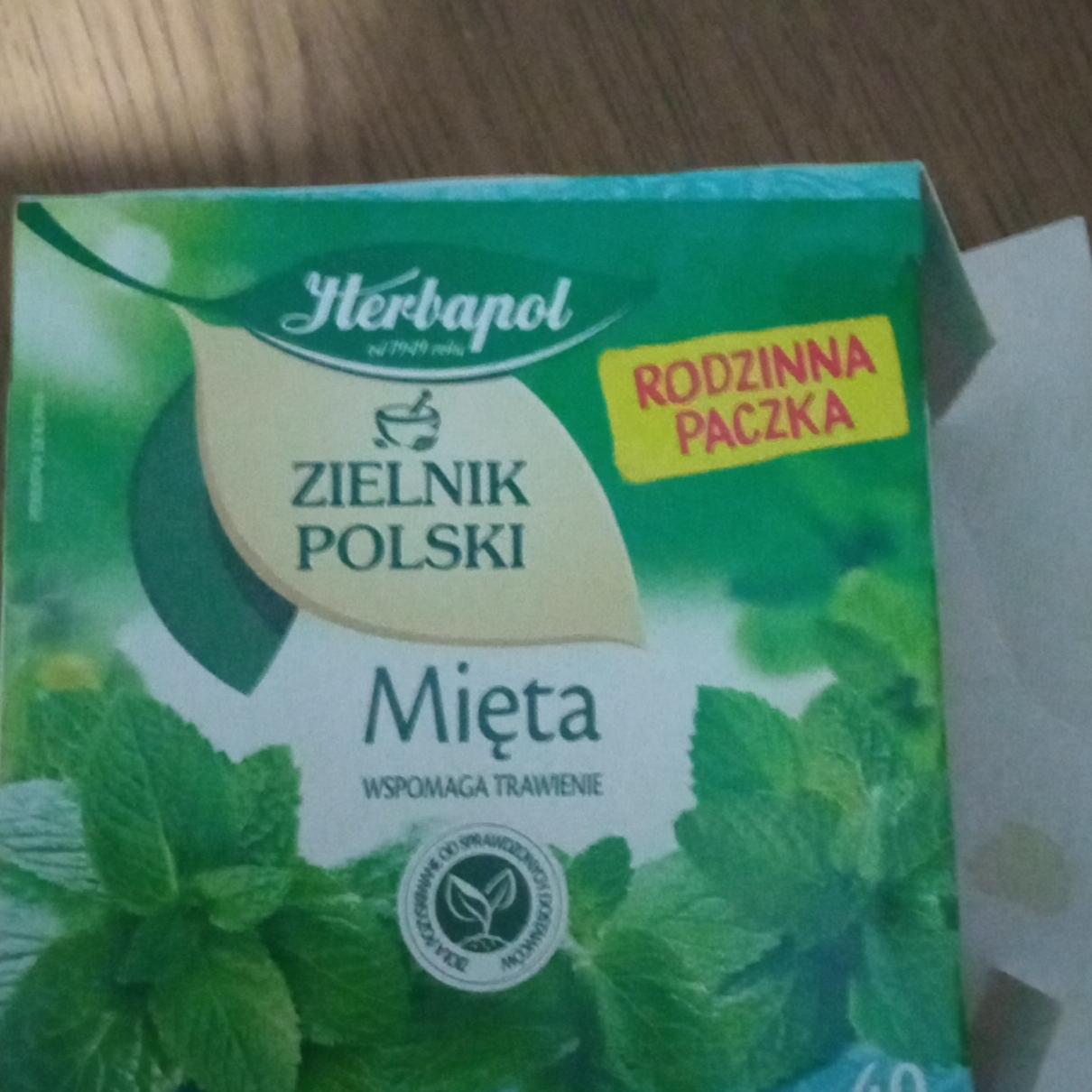 Zdjęcia - Zielnik Polski Herbatka ziołowa mięta Herbapol