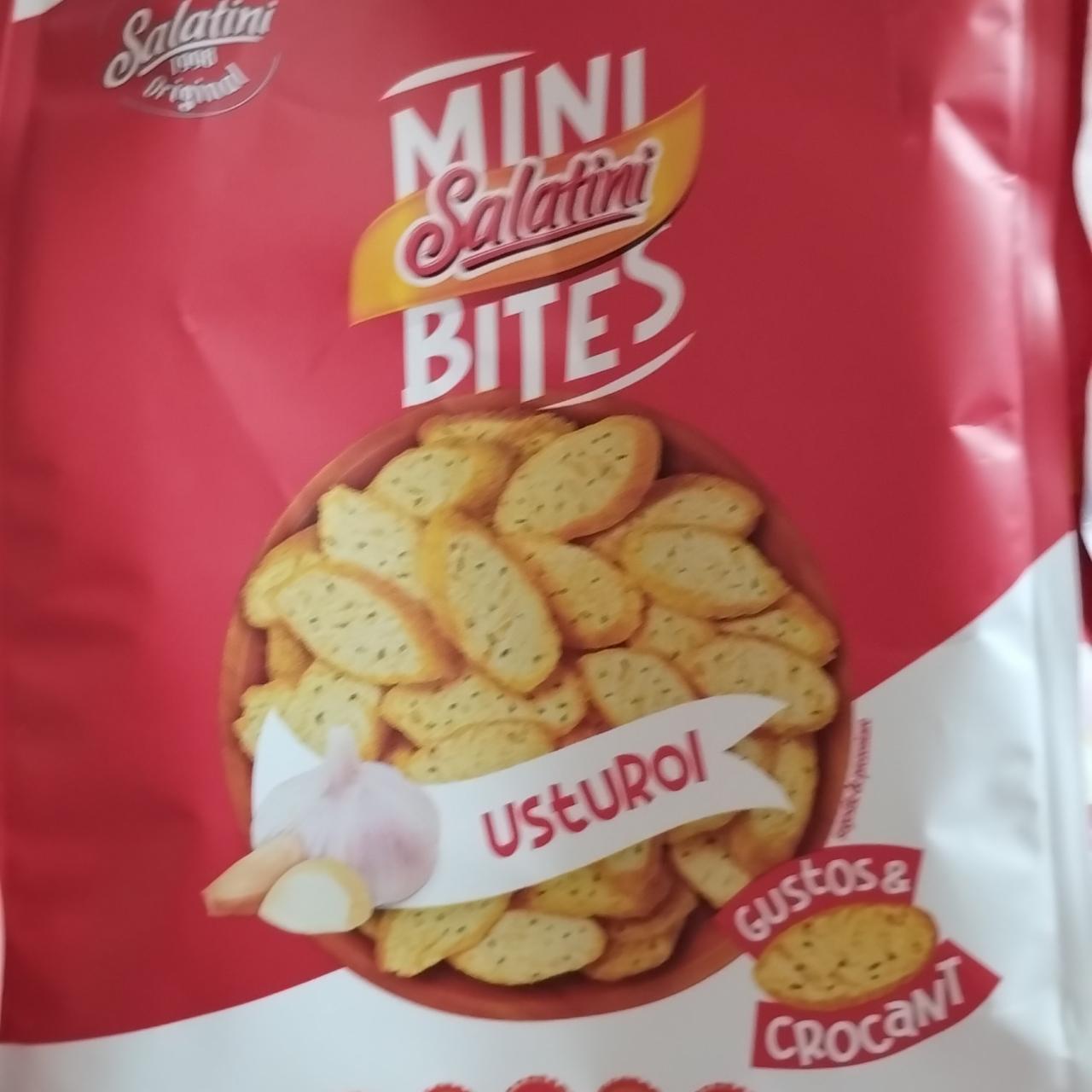 Zdjęcia - Mini bites usturoi Salatini