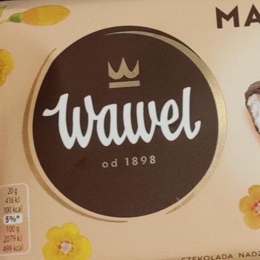 Zdjęcia - Wawel Czekolada z nadzieniem mango z miętą 100 g