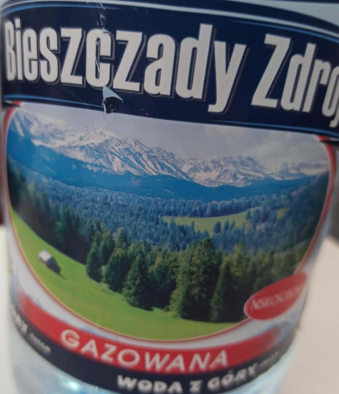 Zdjęcia - Woda gazowana Bieszczady Zdrój