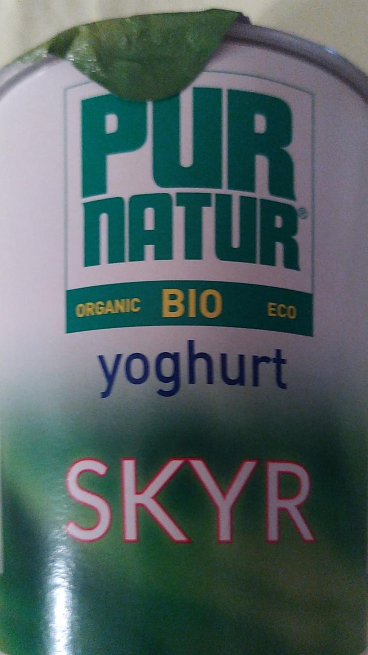 Zdjęcia - Yoghurt Skyr bio Pur natur