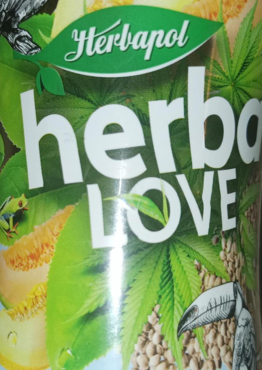 Zdjęcia - HerbaLove Napój owocowo herbaciany zielona herbata melon i nasiona konopi Herbapol