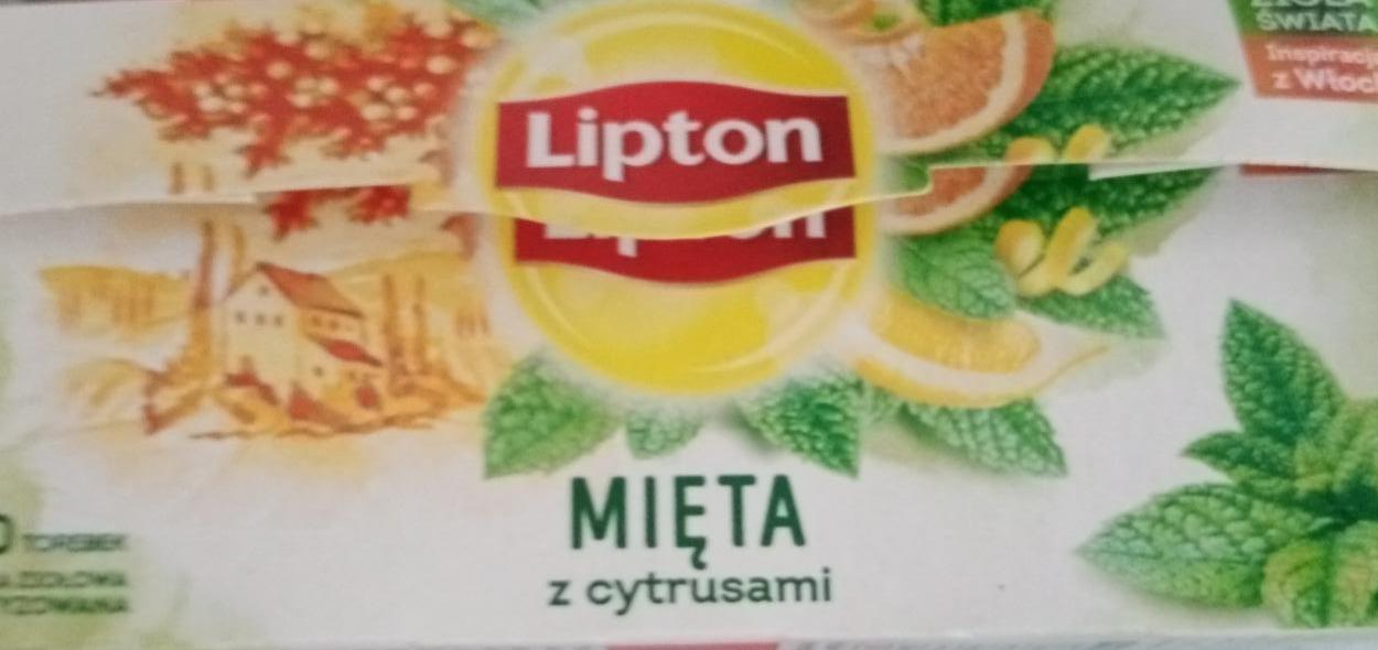 Zdjęcia - Lipton Herbatka ziołowa aromatyzowana mięta z cytrusami 26 g (20 torebek)