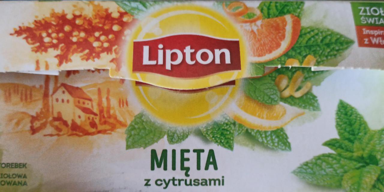 Zdjęcia - Lipton Herbatka ziołowa aromatyzowana mięta z cytrusami 26 g (20 torebek)