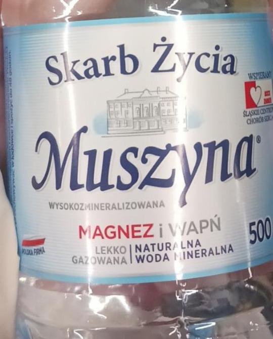 Zdjęcia - Naturalna woda mineralna wysokozmineralizowana Lekko gazowana Skarb Życia Muszyna