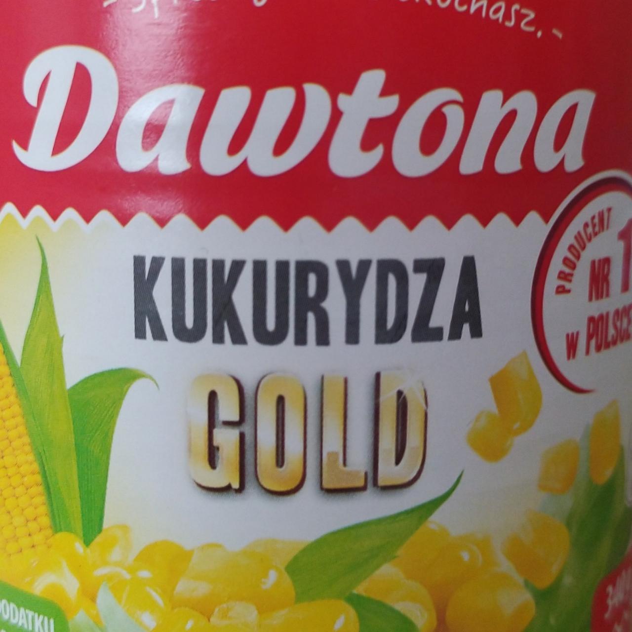 Zdjęcia - Kukurydza Gold Dawtona