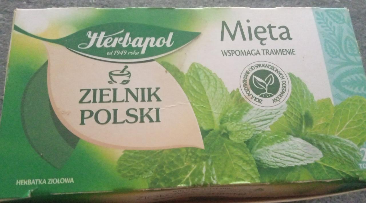 Zdjęcia - herbata miętowa herbapol