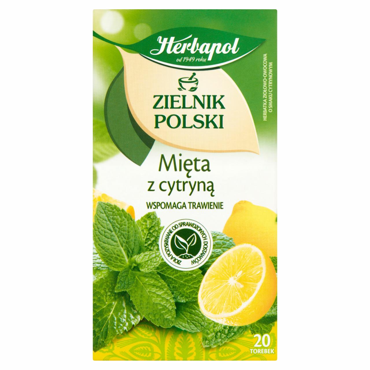 Zdjęcia - Herbapol Zielnik Polski Herbatka ziołowo-owocowa mięta z cytryną 30 g (20 x 1,5 g)