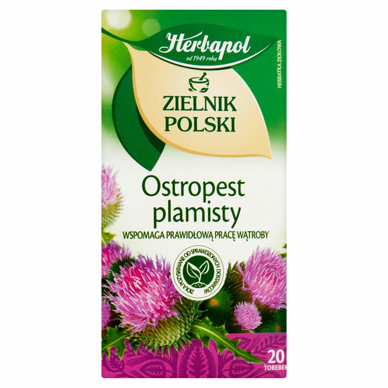 Zdjęcia - Herbapol Zielnik Polski Ostropest plamisty Herbatka ziołowa 40 g (20 x 2 g)