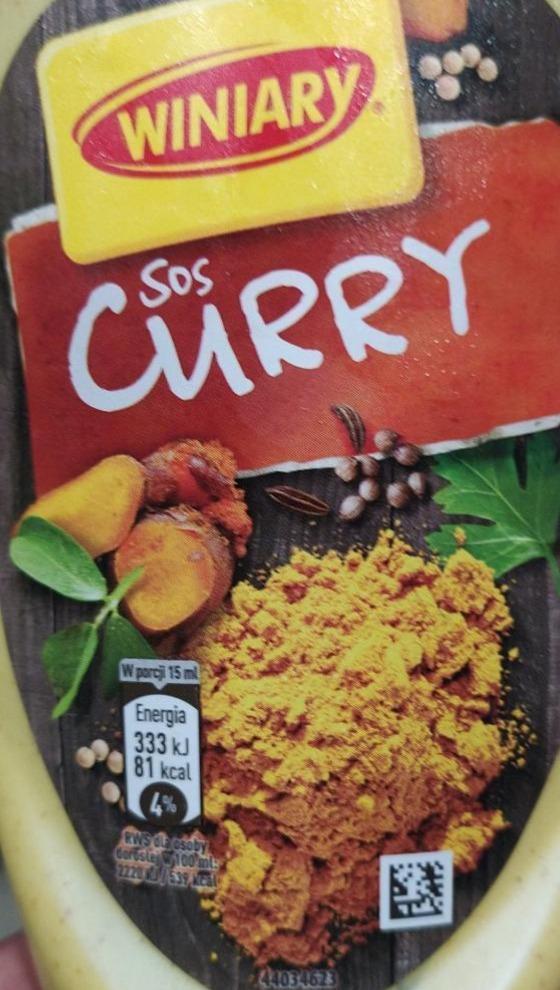 Zdjęcia - Winiary Sos curry 300 ml