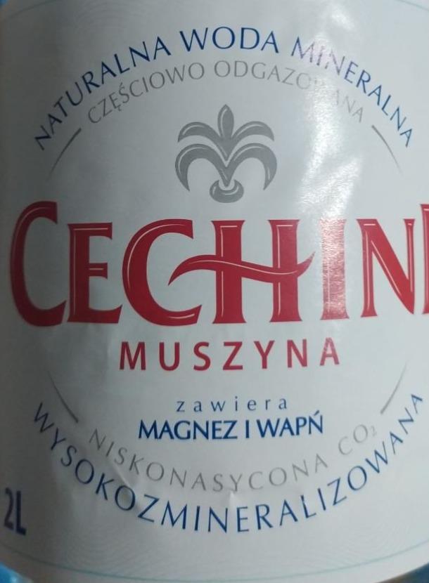 Zdjęcia - cechini woda mineralna