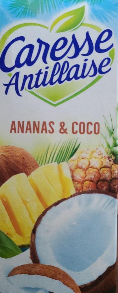 Zdjęcia - casesse antillaise annanas & coco