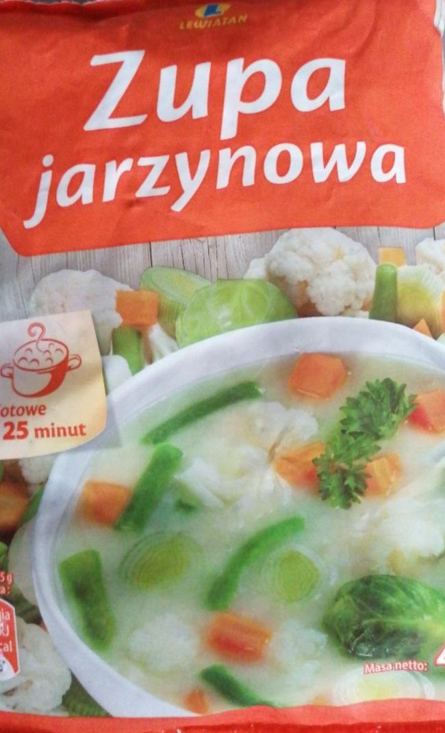 Zdjęcia - Zupa jarzynowa Lewiatan