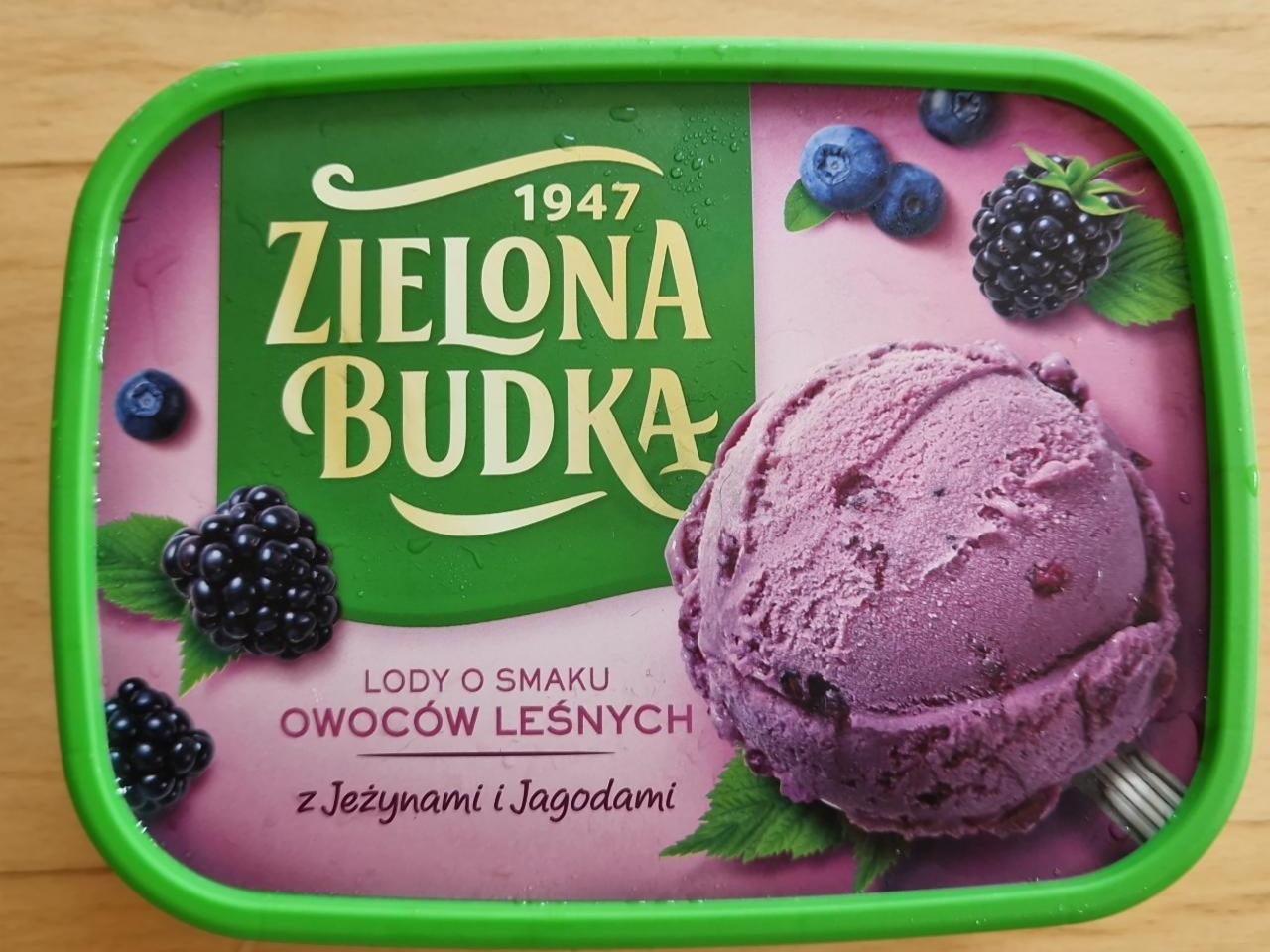 Zdjęcia - Lody o smaku owoców leśnych z jeżynami i jagodami Zielona Budka