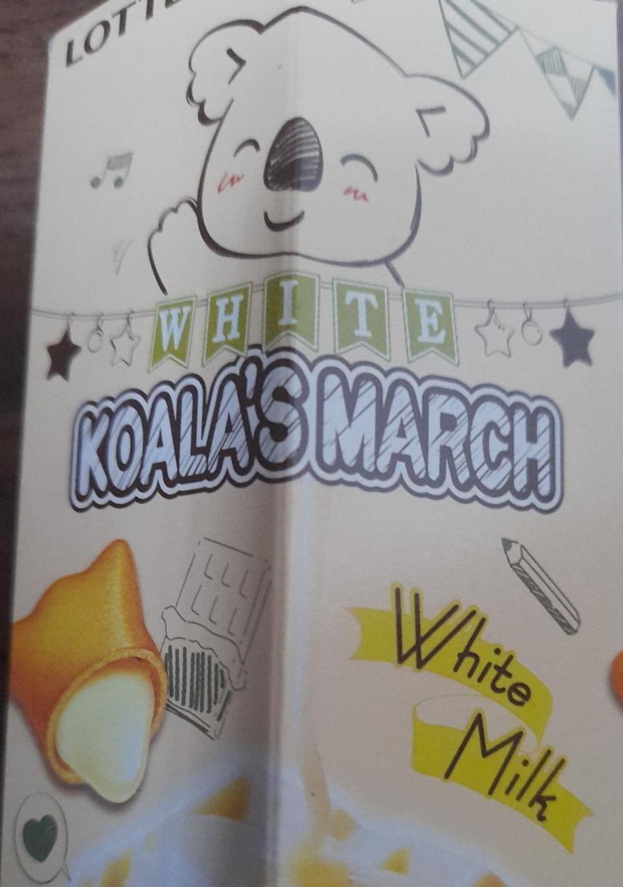 Zdjęcia - Koala's March Lotte
