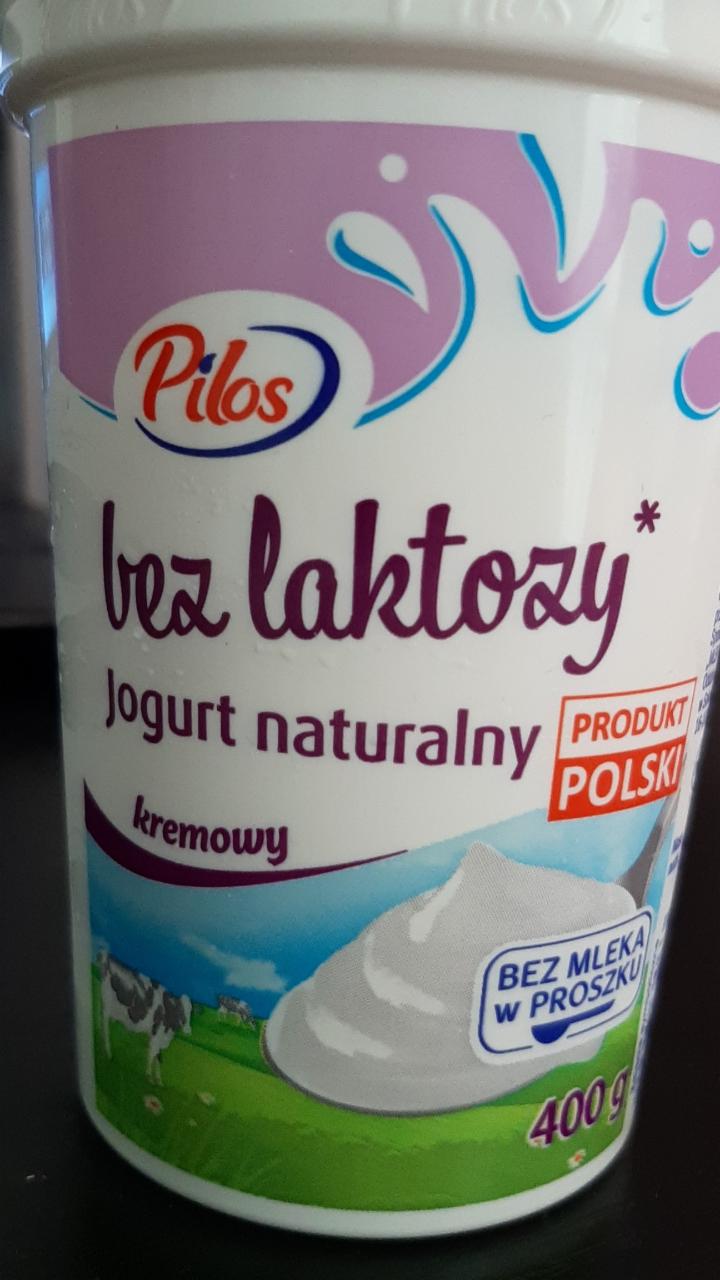 Zdjęcia - Jogurt naturalny bez laktozy Pilos