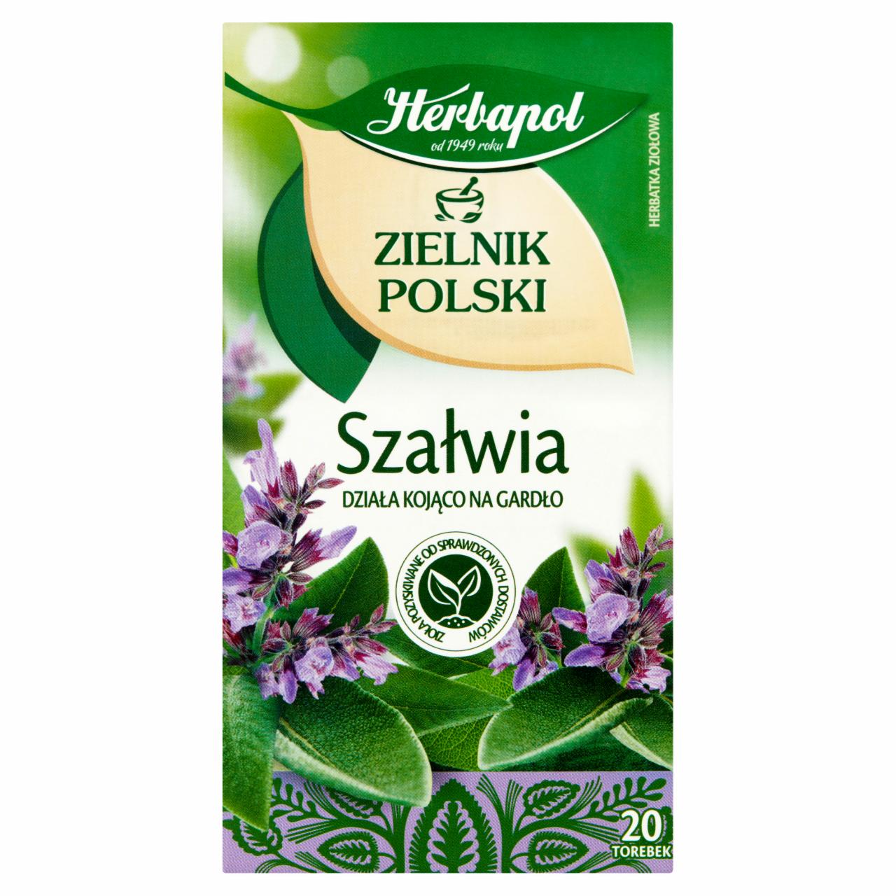 Zdjęcia - Herbapol Zielnik Polski Herbatka ziołowa szałwia 24 g (20 x 1,2 g)
