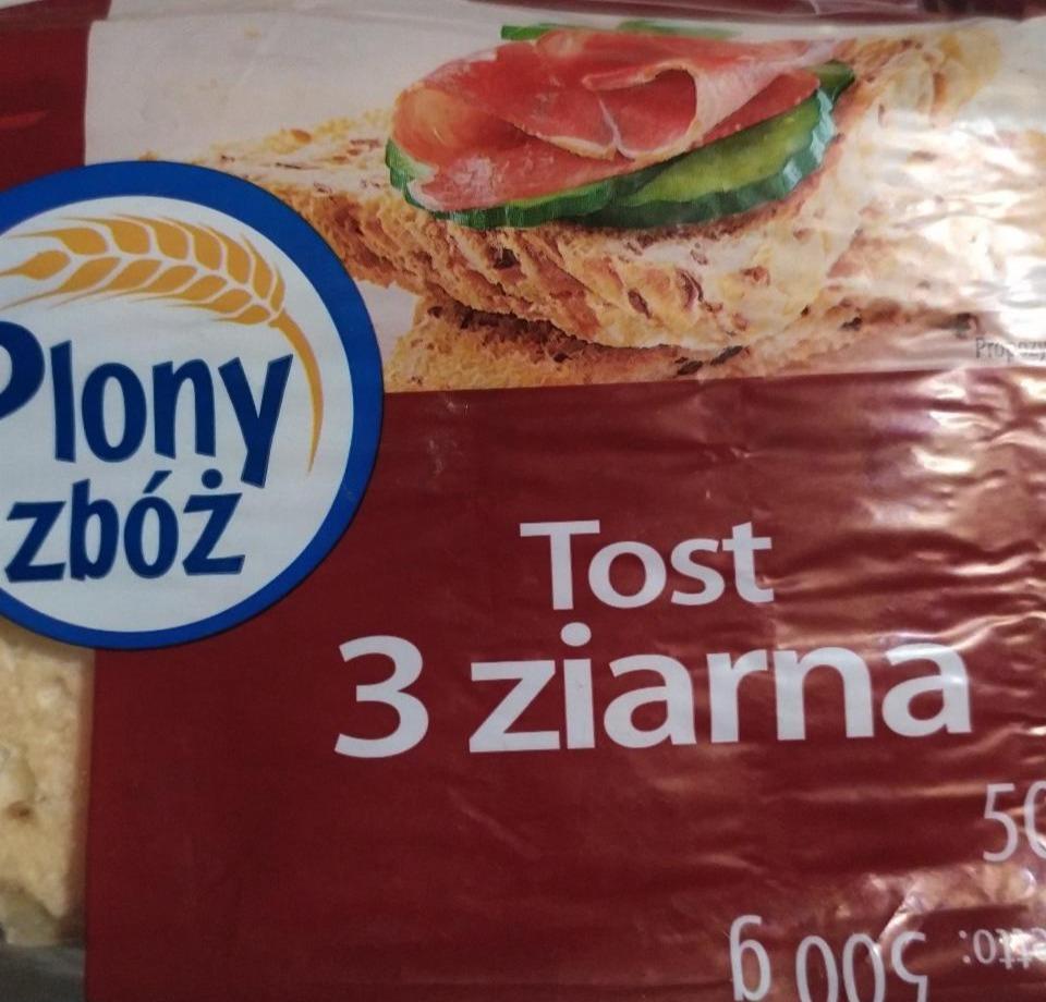 Zdjęcia - Tost 3 ziarna Plony Zbóż