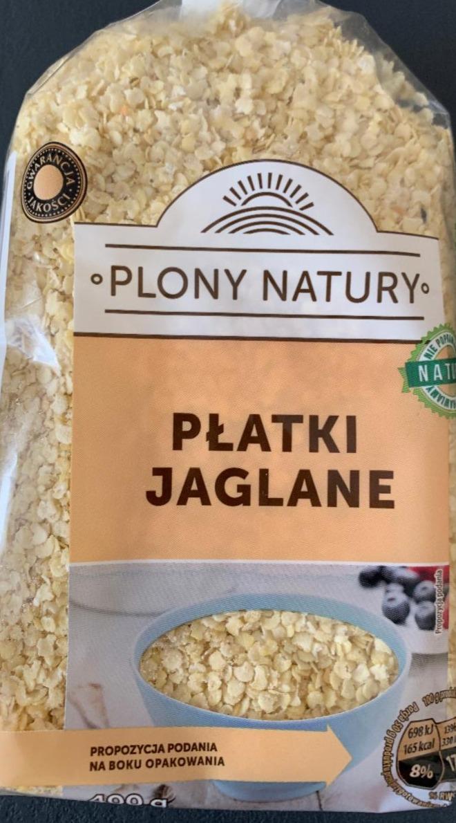 Zdjęcia - Platki Jaglane Plony Natury