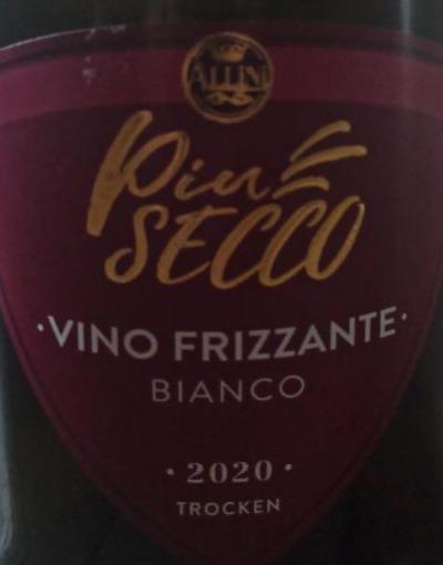 Zdjęcia - Pine secco vini frizzante bianco Allini