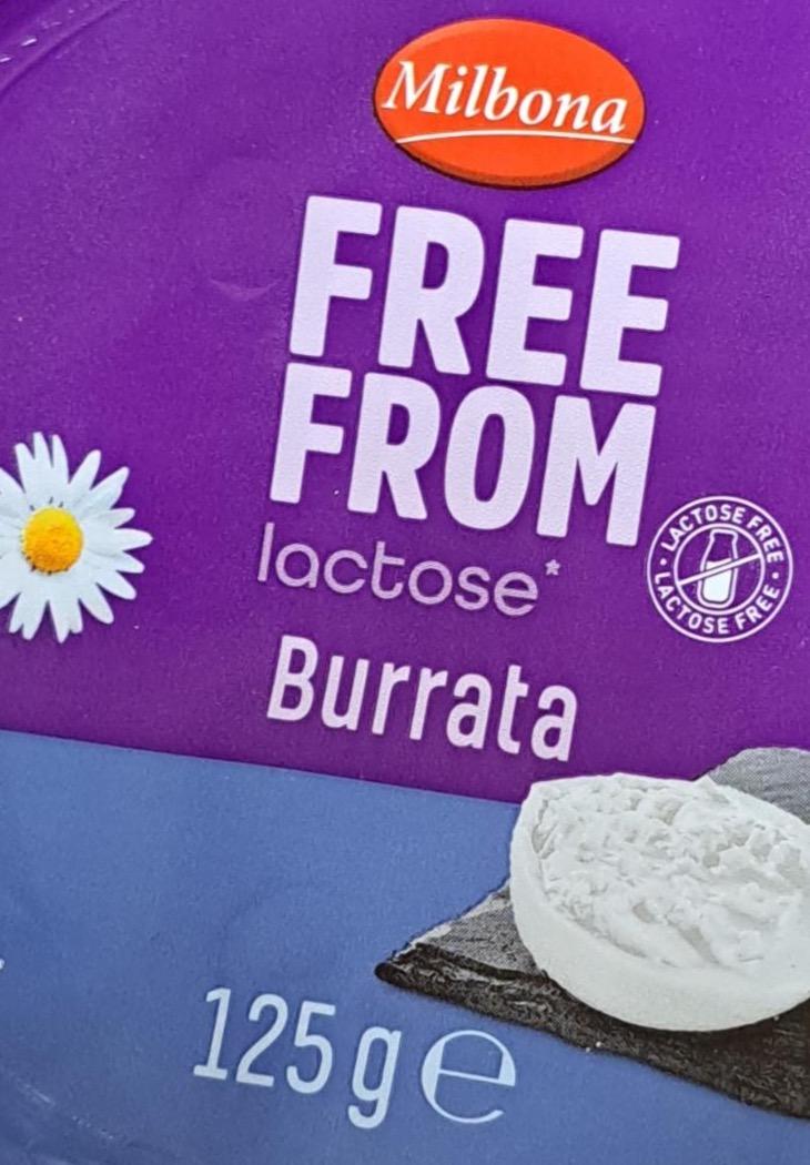 Zdjęcia - Free from lactose Burrata Milbona