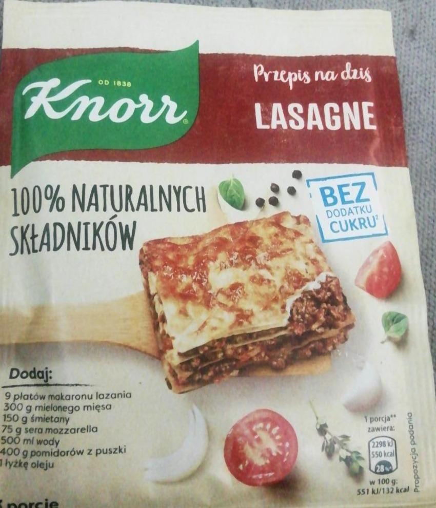 Zdjęcia - Knorr Lasagne 43 g