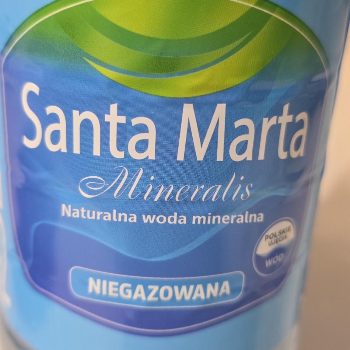 Zdjęcia - Woda niegazowana Santa Marta