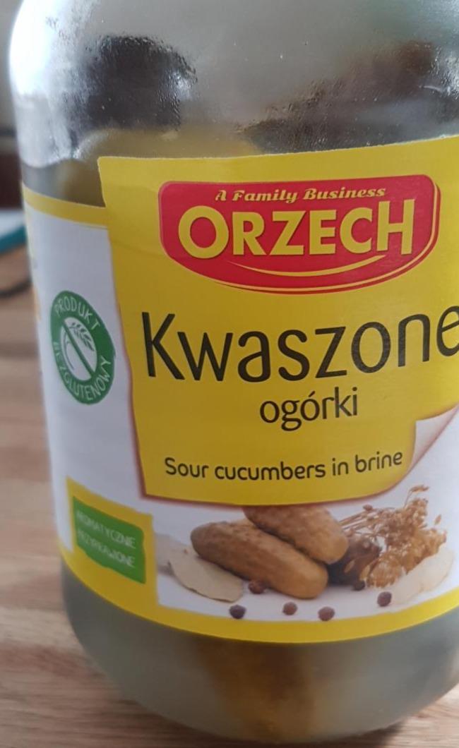 Zdjęcia - Kwaszone ogórki Orzech