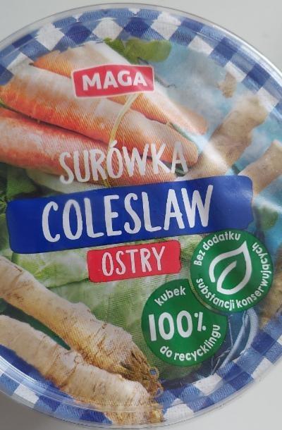 Zdjęcia - Surówka Colesław ostry Maga