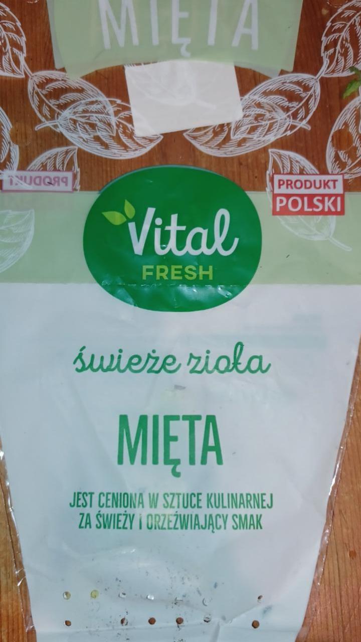 Zdjęcia - mięta vital fresh